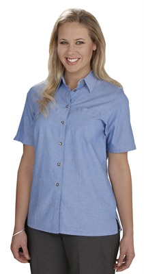 Damas azul camisa del negocio