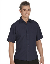 Male Basic Summer Shirt images