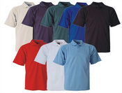 Chemise de Polo de couleur entreprise Mens images