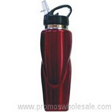 Stainless Steel Drink Bottle With Straw images