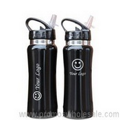 Stainless Steel Drink Bottle With Straw images