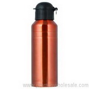 Stainless Steel Sports Bottle images