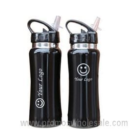 Stainless Steel Drink Bottle With Straw