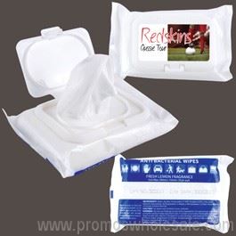 Anti Bacterial Wipes In Pouch X 20