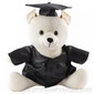 Graduation Signature Calico Bear small picture