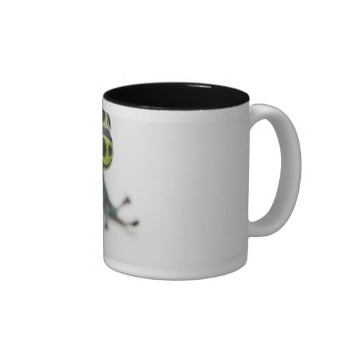 Manchado de negro taza de café bicolor del rana de dardo venenoso verde