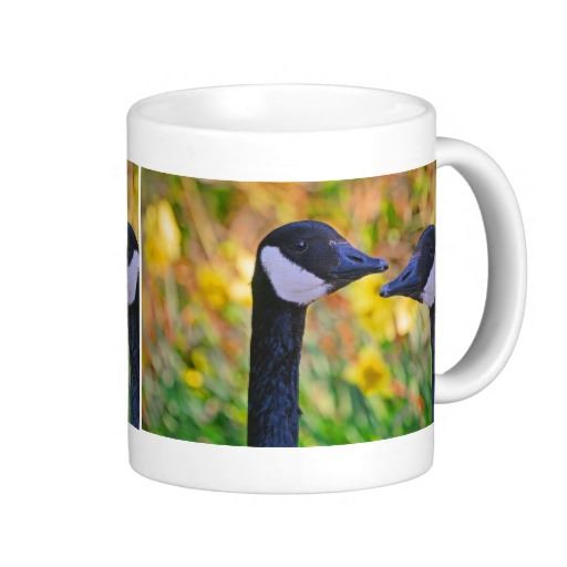 Bernaches du Canada et des jonquilles classique Mug café blanc