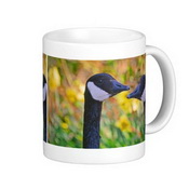 Canada Geese and Daffodils Classic White Coffee Mug images