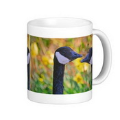 Bernaches du Canada et des jonquilles classique Mug café blanc images