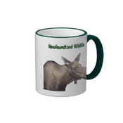 Newfoundland alces recuerdo timbre taza de café images