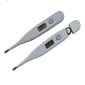 Vanntett Digital termometer small picture