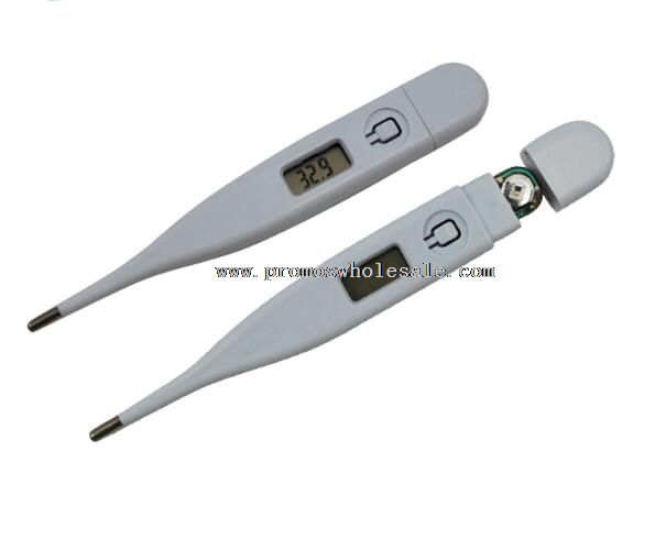 Waterproof Digital thermometer
