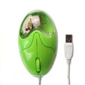 ratón verde con líquido interior images