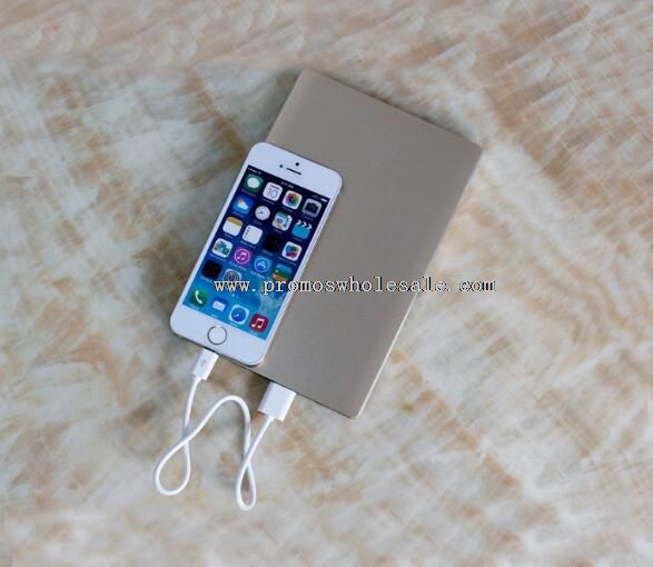 10000mAh Power Bank