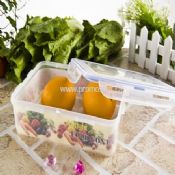 Oblong food container images