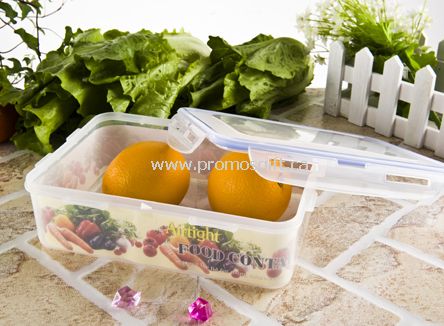 Oblong food container