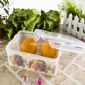 Oblong food container small picture