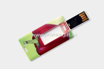 Mini tarjeta USB Flash Drive