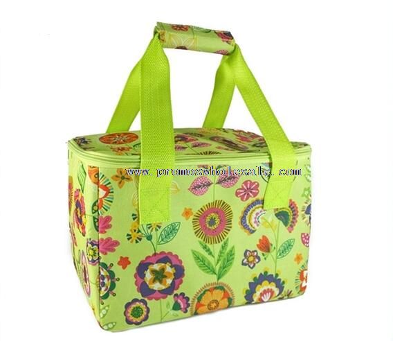 Cooler lunch cooler bag