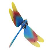 Magnety na lednici dragonfly hmyz images