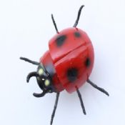 Aimant de réfrigérateur coccinelle images