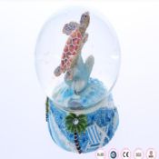 Personalized water globe images