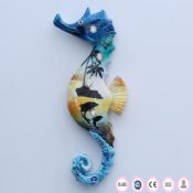 Sea horse magneter images