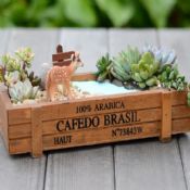 Wooden decorative trays images