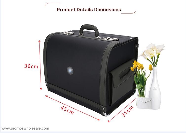 interioare pentru Autoturisme instrument sac