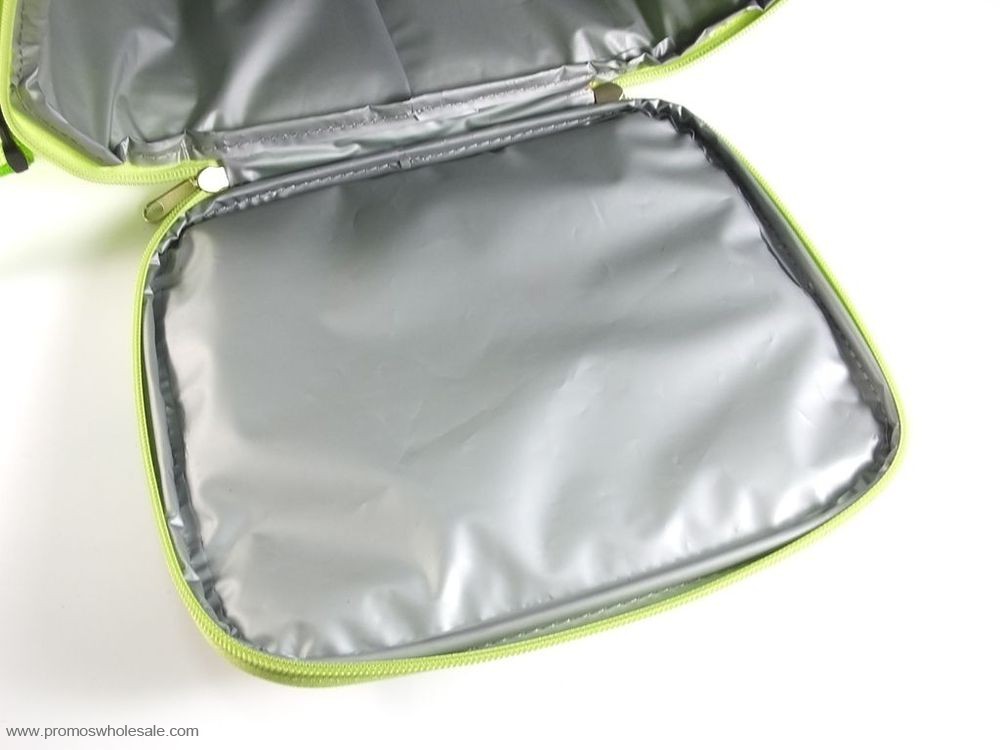 Cooler bag for frozen food