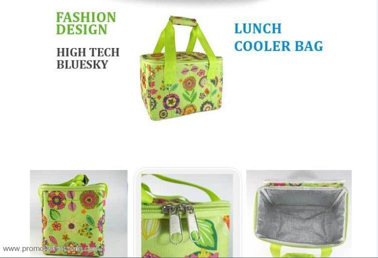 Cooler lunch cooler bag