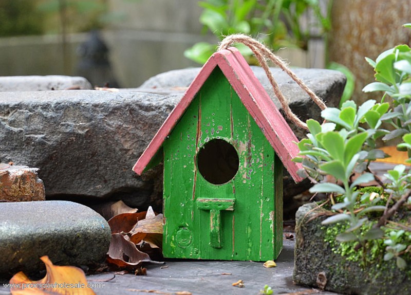 Burung Kayu pengepakan rumah